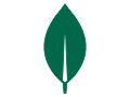 Mongodb